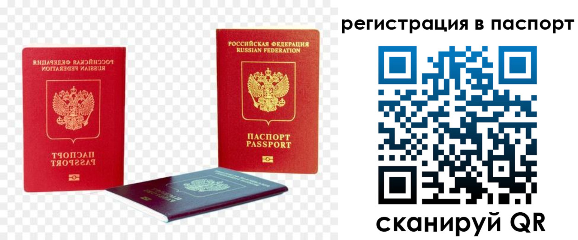 временная регистрация поиск в Заинске